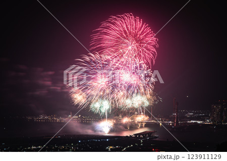 花火 キラキラ輝くもの 線香花火 123911129