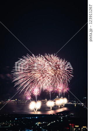 花火 キラキラ輝くもの 線香花火 123911267