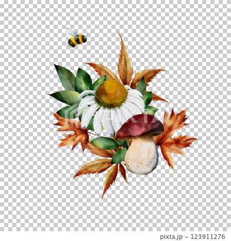 Composition of mushrooms, chamomile flowers, green and dry leaves and bumblebee. Watercolor illustration. Hand drawn illustration isolated on white background. For cards, textiles, design 123911276