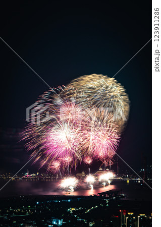 花火 キラキラ輝くもの 線香花火 123911286