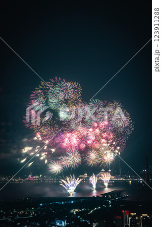 花火 キラキラ輝くもの 線香花火 123911288