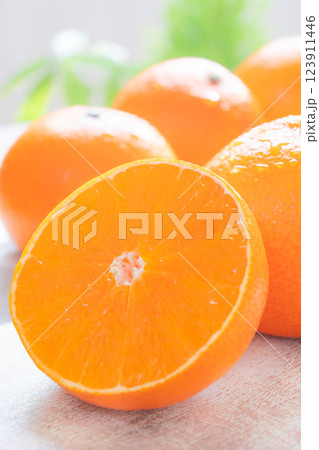 半分にカットされた紅まどんな カッティングボード 半分にカットされた紅まどんな カッティングボード 123911446