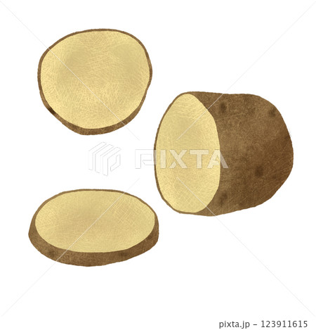 Potato tubers for cooking, handmade digital illustration on a white background 123911615