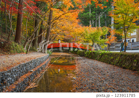 森町の遠江国一宮小國神社のもみじまつりの紅葉の風景(静岡県) 123911785