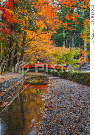 森町の遠江国一宮小國神社のもみじまつりの紅葉の風景(静岡県) 森町の遠江国一宮小國神社のもみじまつりの紅葉の風景(静岡県) 123912013
