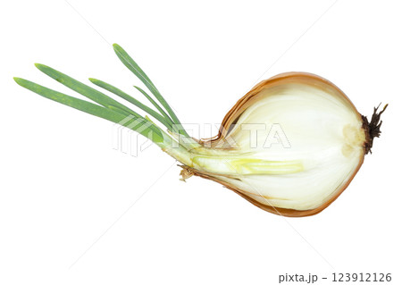 Onions, cut in half Onions, cut in half 123912126