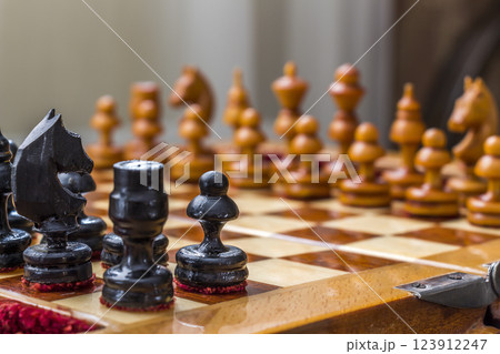 Chess pieces on the field 123912247