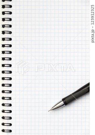 Blank sheet of notebook 123912325