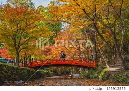 森町の遠江国一宮小國神社のもみじまつりの紅葉の風景(静岡県) 123912353