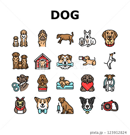 dog breeding genetics pedigree icons set vector 123912824