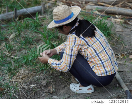 Asian adult woman working outdoors in summer garden. 123912915