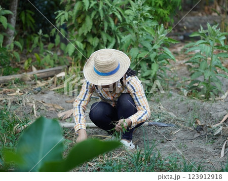Asian adult woman working outdoors in summer garden. 123912918