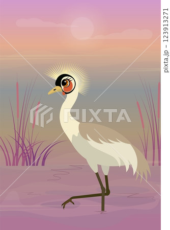 Vector birds. A heron stands in a swamp during sunset. Animals collection. 123913271