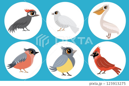 Set of vector birds. Woodpecker, cuckoo, pelican, cardinal and tit. Animals collection. Set of vector birds. Woodpecker, cuckoo, pelican, cardinal and tit. Animals collection. 123913275