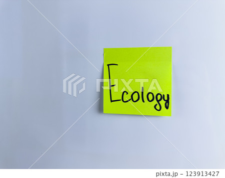 Handwritten word Ecology on green sticky note 123913427