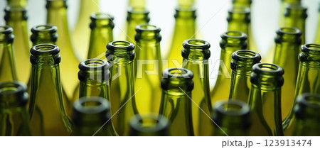 Green glass bottles arranged in rows 123913474