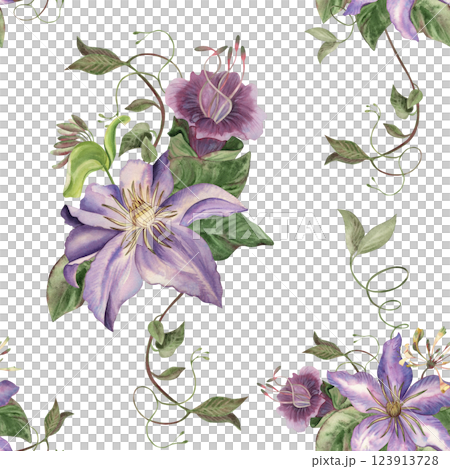 Seamless watercolor pattern with purple clematis flowers, green vines and leaves on black background. Hand drawn botanical illustration for textile, wallpaper, prints and vintage decor, packaging. 123913728