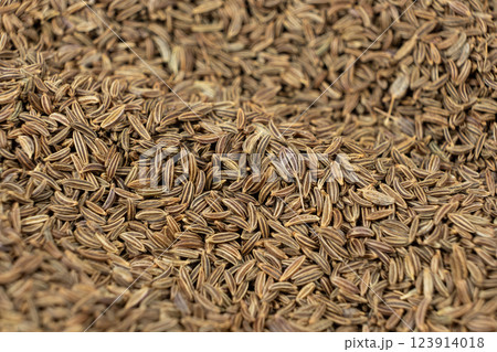 Whole cumin seeds Carum carvi L. macro Whole cumin seeds Carum carvi L. macro 123914018