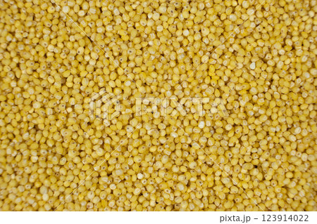 Whole millet grains top view macro 123914022