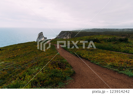 Discover the breathtaking trail leading to the cliffs of Cape Roca, Portugal. 123914242