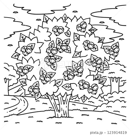 Hazelnut Tree Fruit Plant Coloring Page for Kids Hazelnut Tree Fruit Plant Coloring Page for Kids 123914819