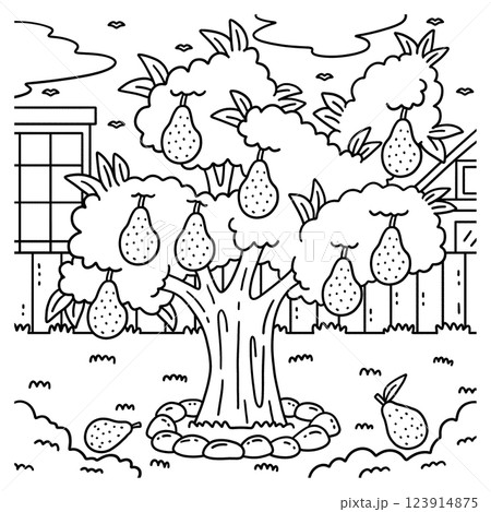 Avocado Tree Fruit Plant Coloring Page for Kids 123914875