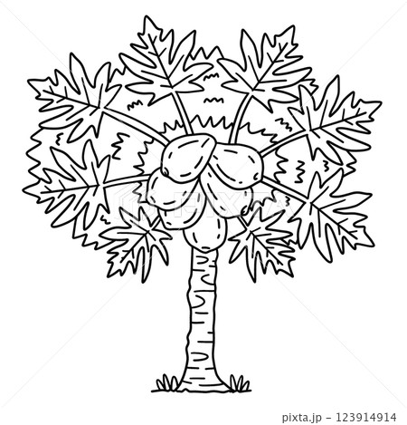 Papaya Tree Fruit Plant Isolated Coloring Page  123914914