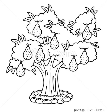 Avocado Tree Fruit Plant Isolated Coloring Page  123914945