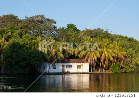 Serene lakeside house nestled among lush palms in a tranquil natural setting 123915151