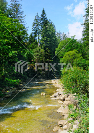 Colorful summer landscape. Mountain river with fast current and coniferous forest on the bank. Carpathians, Ukraine. Colorful summer landscape. Mountain river with fast current and coniferous forest on the bank. Carpathians, Ukraine. 123915197