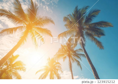 Copy space of silhouette tropical palm tree with sun light on sunset sky and cloud abstract background. Summer vacation and nature travel adventure concept. Vintage tone filter effect color style. Copy space of silhouette tropical palm tree with sun light on sunset sky and cloud abstract background. Summer vacation and nature travel adventure concept. Vintage tone filter effect color style. 123915212