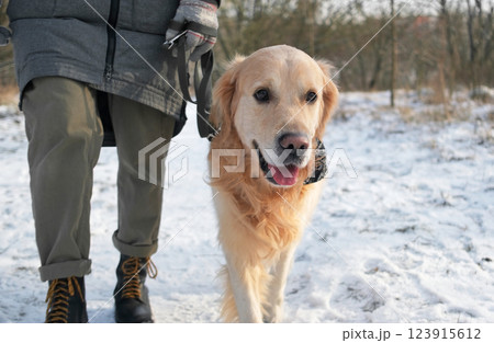 Woman Walks With Her Golden Retriever Dog On A Leash During A Winter Stroll, Showcasing Her Beautiful Pet 123915612