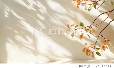 Dried leaves casting shadows on textured wall create serene atmosphere 123915613