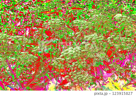 Weed flower growing in a summer meadow, Weed flower growing in a summer meadow, 123915827
