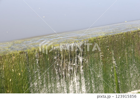 Water flows down over the spillway of a small concrete dam. 123915856