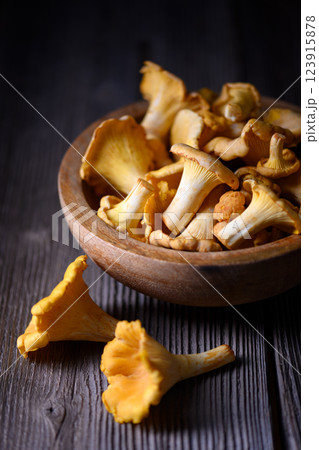 Close up of freshly picked chanterelle mushrooms 123915878