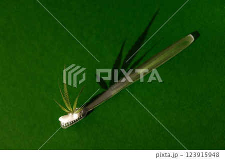 A transparent plastic toothbrush with white Cannabis CBD toothpaste with Cannabis leaf. Green isolated background. Health care and dental hygiene concept. A transparent plastic toothbrush with white Cannabis CBD toothpaste with Cannabis leaf. Green isolated background. Health care and dental hygiene concept. 123915948