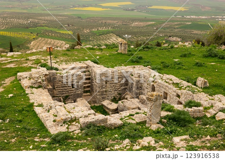 Among green fields are remains of ancient Roman crypt in city of Dougga, Tunisia. 123916538