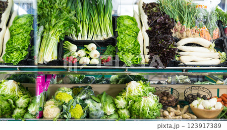 vegetables and fruits lie on the supermarket shelves 123917389