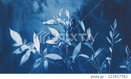 abstract cyanotype botanical composition with soft light diffusion, delicate plant shadows, deep indigo and navy blue textures, artistic organic nature-inspired print with vintage aesthetics 123917762