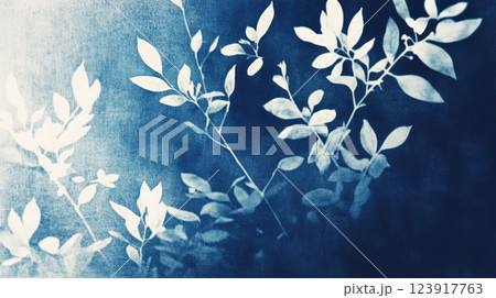 abstract cyanotype botanical composition with soft light diffusion, delicate plant shadows, deep indigo and navy blue textures, artistic organic nature-inspired print with vintage aesthetics 123917763