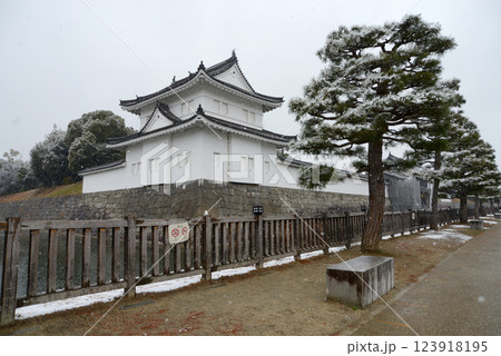 雪の二条城　東南隅櫓　京都市中京区 123918195