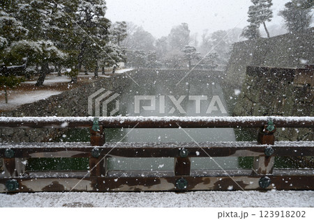 雪の二条城　内堀西橋の欄干　京都市中京区 123918202