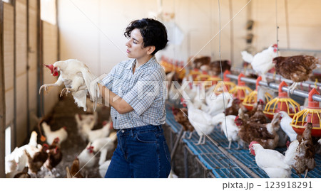 Smiling latin woman in plaid shirt working in chicken farm Smiling latin woman in plaid shirt working in chicken farm 123918291