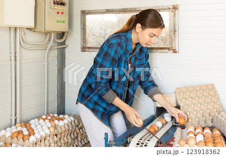 Farm employee collects fresh eggs from poultry farm conveyor 123918362