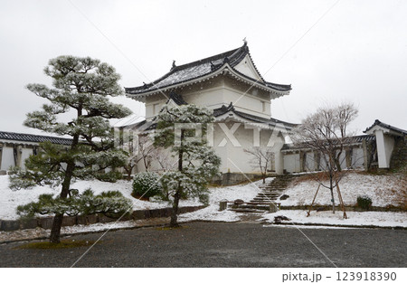 雪の二条城　東南隅櫓　京都市中京区 123918390
