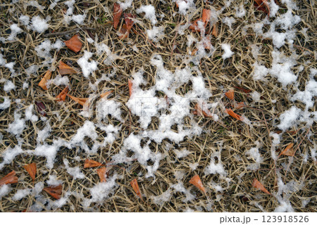 雪肌 雪模様 雪肌 雪模様 123918526