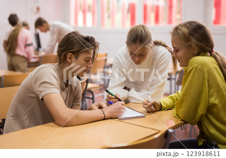 Fellow students having group work tasks during school class Fellow students having group work tasks during school class 123918611