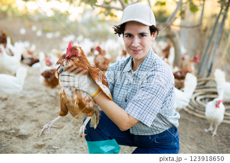Female farmer holding chicken in poultry farm Female farmer holding chicken in poultry farm 123918650
