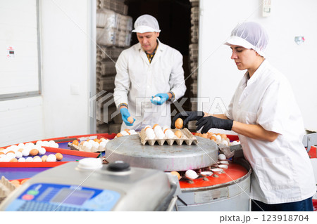 Hispanic female poultry farm worker sorting chicken eggs 123918704